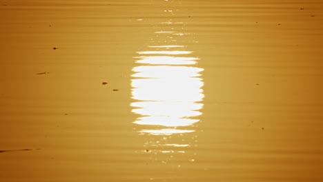 golden sun orb reflection of sunrise disturbed by river ripples