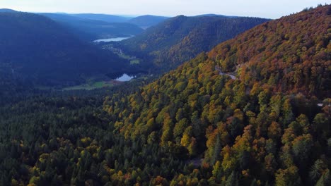 Vista-Aérea-Del-Hermoso-Bosque-De-Follaje-Naranja-Y-Lagos-Lejanos-Durante-La-Temporada-De-Otoño-En-La-Montaña-Francesa-Vosges