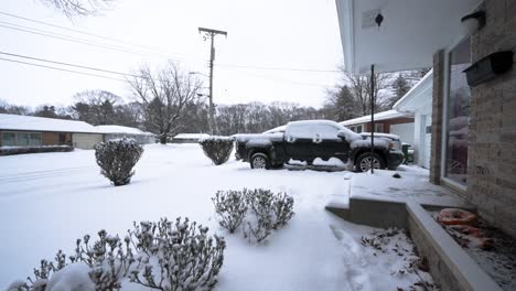 Pannig-over-snowfall-covered-plants