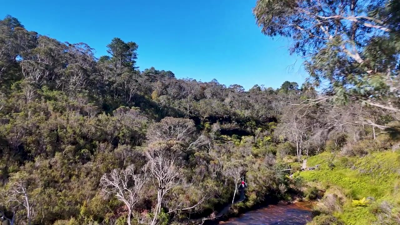 Dron snímá bujný eukalyptový les a údolí v Wentworth Falls, Modré hory, Austrálie
