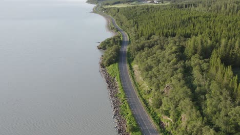 scenic route along shore of lake lagarfljót with hallormsstaður forest, aerial