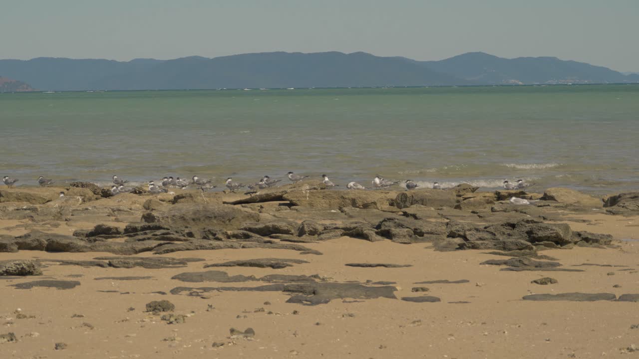 호주 퀸즐랜드 휘트선데이 지역에 있는 랭포드 섬 해안의 바위에 자리 잡은 바닷새의 난파선