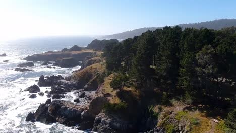 drone video showcasing contrasts: on the left, a rugged rocky beach, and on the right a green pine forest with a mountain and the sea stretching to the horizon