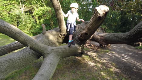 brave young caucasian girl with a helmet walking on a large tree trunk in a forest