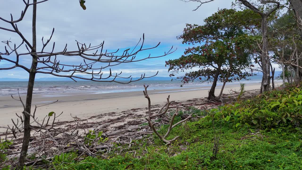 A tranquil beach scene with lush greenery and distant ocean waves under soft daylight, captured in Port Douglas, Australia