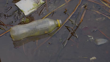 plastic bottle floats in a river waiting to never biodegrade