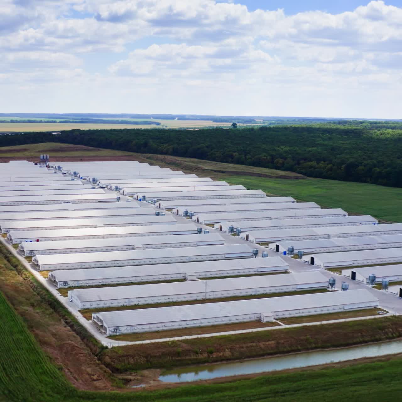 Aerial view of poultry farm. Modern farm poultry buildings. Agriculture