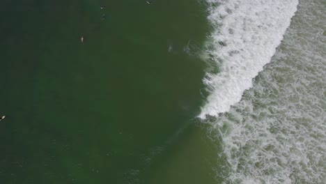 Vista-Aérea-De-Un-Surfista-Montando-Olas-Oceánicas-En-La-Playa-De-Cabarita-En-Nueva-Gales-Del-Sur,-Australia---Disparo-De-Un-Dron