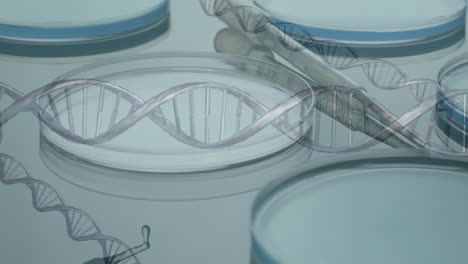 animación de cadenas de adn sobre platos de laboratorio sobre un fondo gris