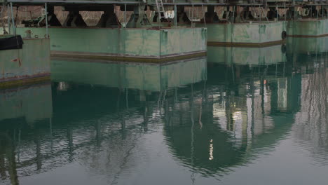 reflection of a bridge and crossing cars over a river