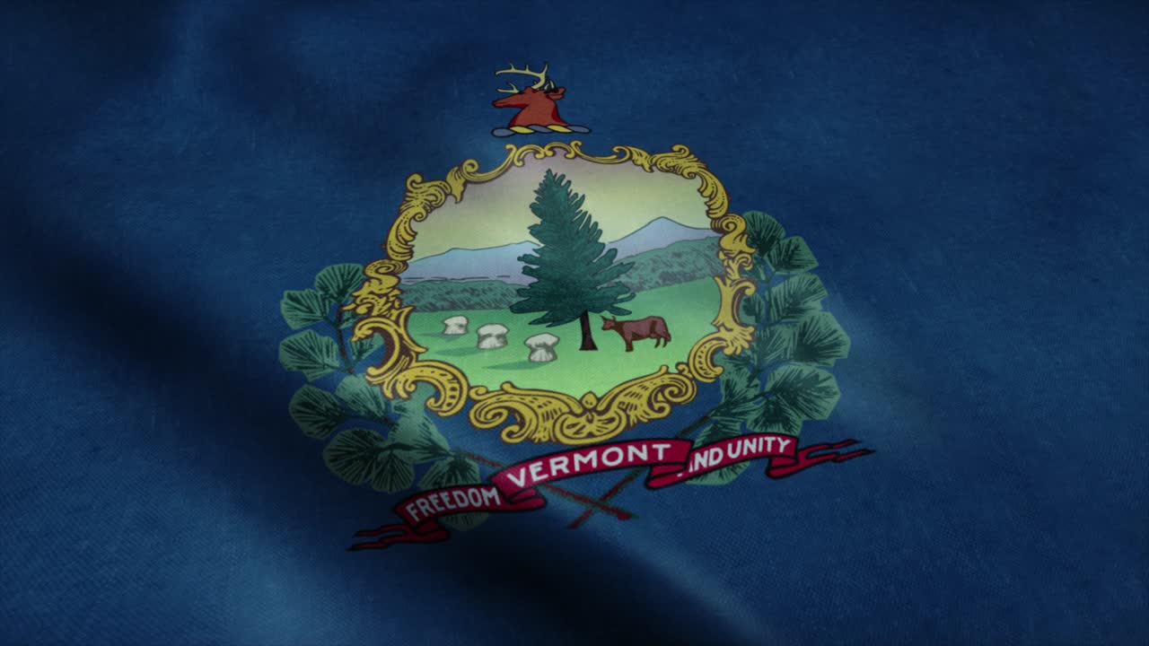 바람에 흔들리는 버몬트 주 발: 매우 상세한 직물 질감으로 완벽한 루프