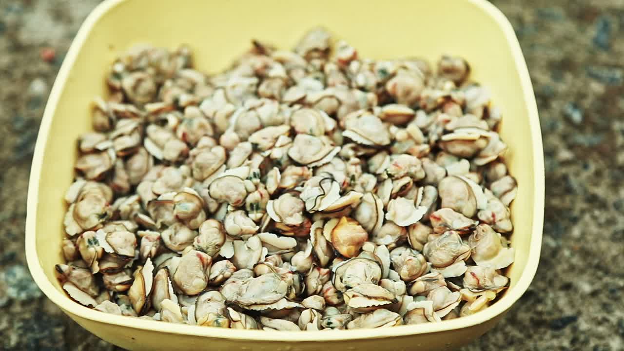 Pentola riempita con carne di mollusco nero. La crosta viene rimossa e messa da parte per la cottura. Cucina indiana.
