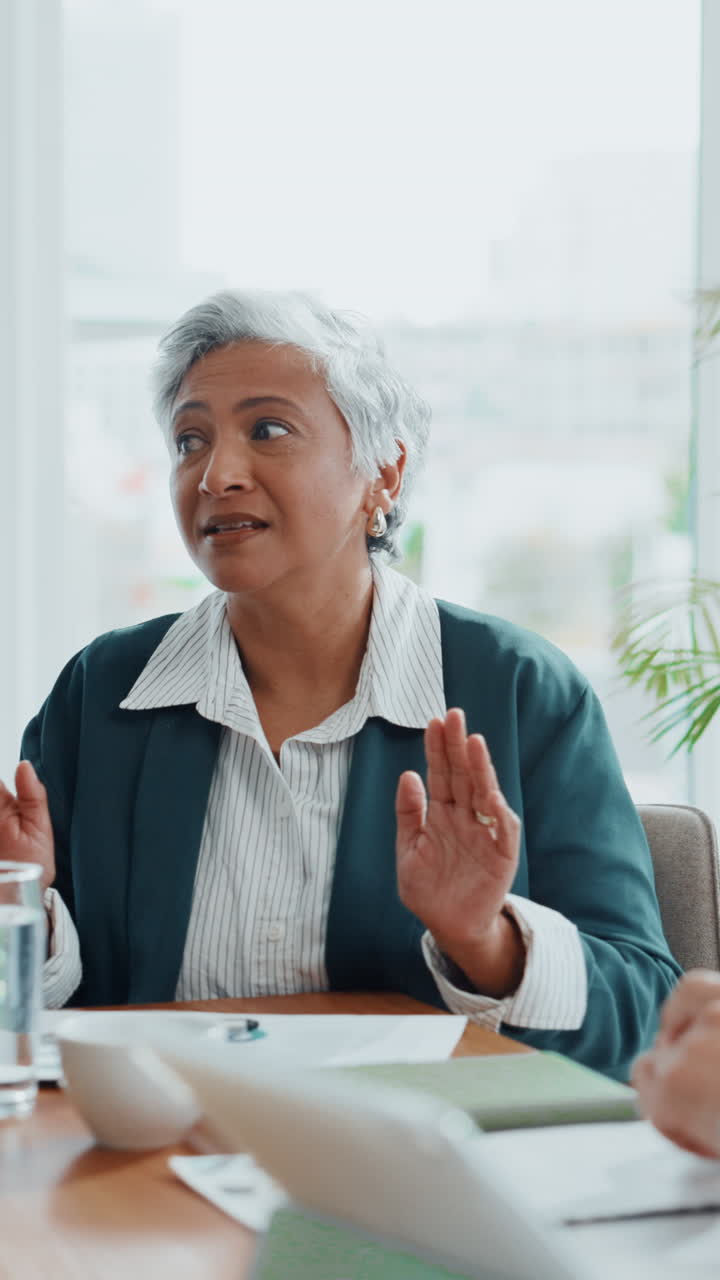 Mature Businesswoman Speaking and Gesturing During an Office Meeting