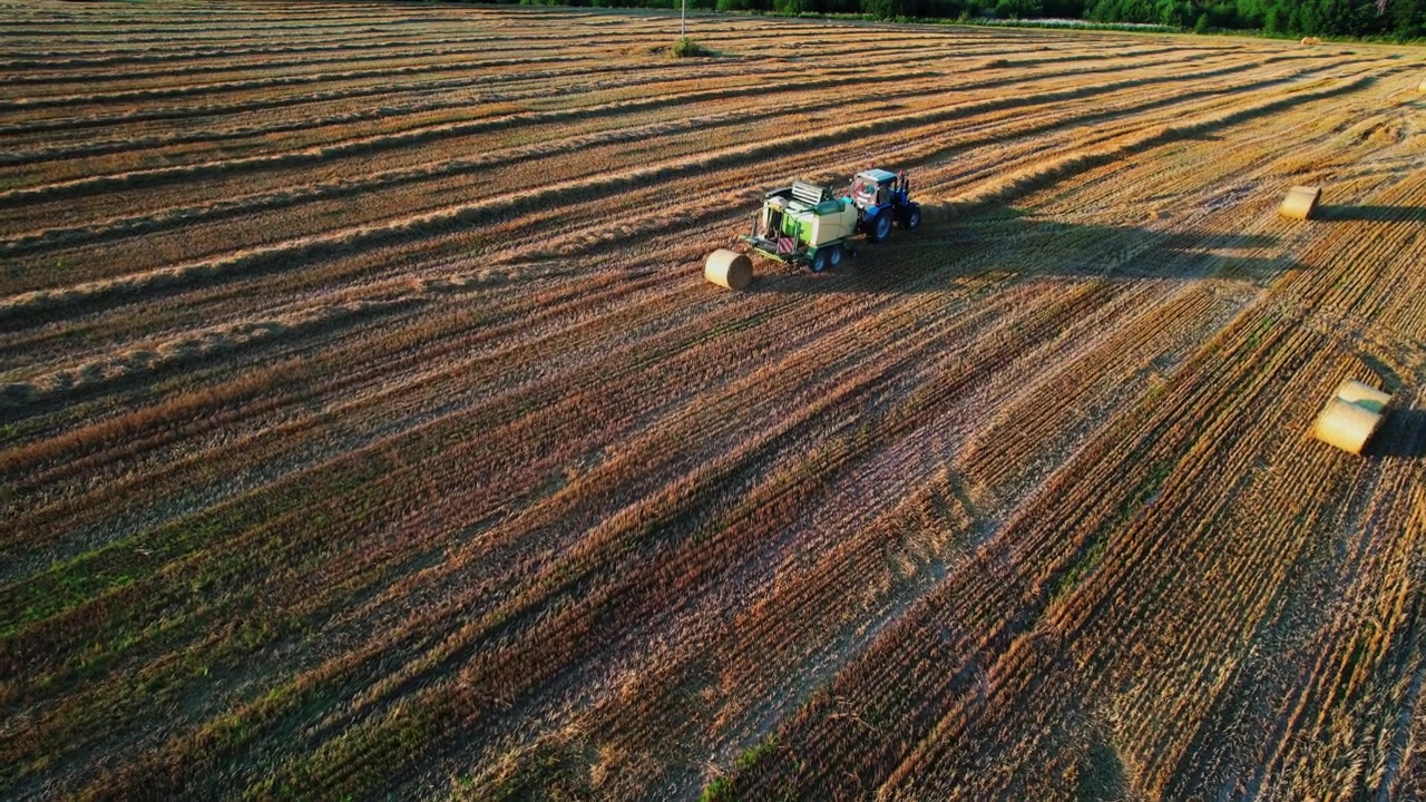 Tracteur-botteleuse ramassant du foin dans un champ agricole au coucher du soleil.
