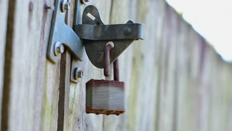 beautifully shot high quality close up of a rusty old broken padlock and latch on an old wooden gate, rocking gentle on the latch in the breeze, with stylish bokeh