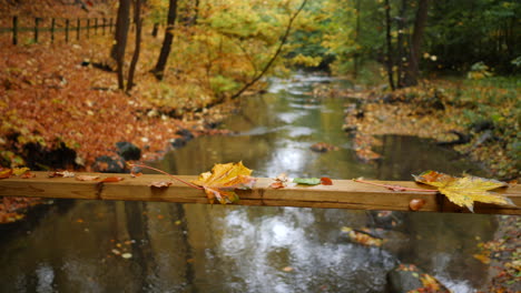 Hojas-De-Otoño-En-Los-Rieles-Del-Puente