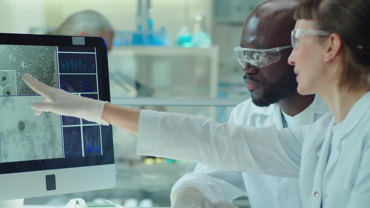 Lab Workers Discussing Micrograph on Computer Screen