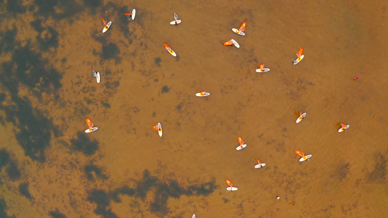 Aerial top view of group of people windsurfing on shallow water of the baltic sea