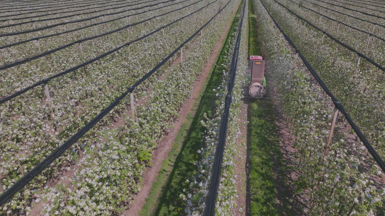 Apple Orchard Spraying