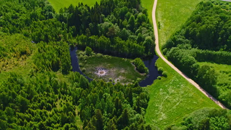 small pond in verdant countryside landscape