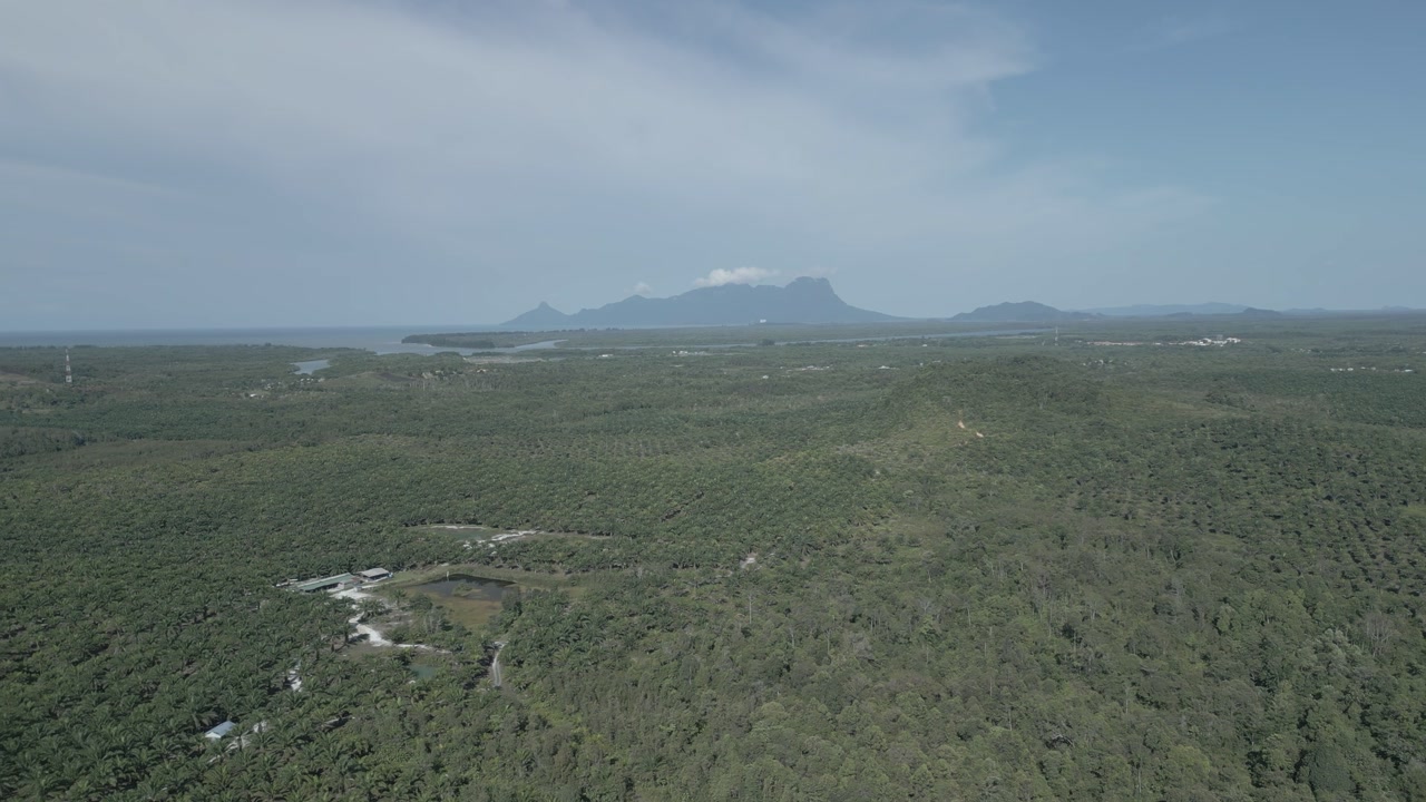 Beautiful Aerial Drone View At Matang Fac Highway This Road Lead to Sempadi Costal Road,Facing Green Forest And Mount Serapi Kuching,Borneo.