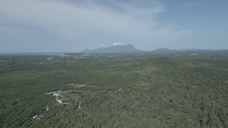 Beautiful Aerial Drone View At Matang Fac Highway This Road Lead to Sempadi Costal Road,Facing Green Forest And Mount Serapi Kuching,Borneo.