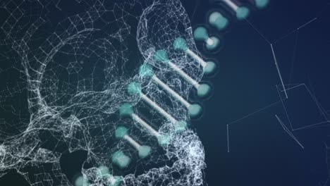DNA-Struktur,-Die-Sich-Vor-Blauem-Hintergrund-Dreht