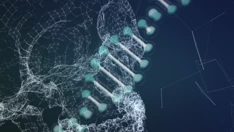 estructura del adn girando contra un fondo azul