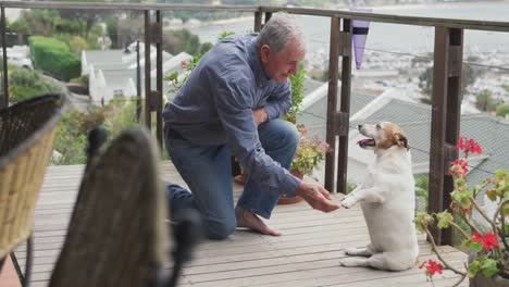 Älterer-Mann-Und-Sein-Hund-Auf-Der-Terrasse-Zu-Hause