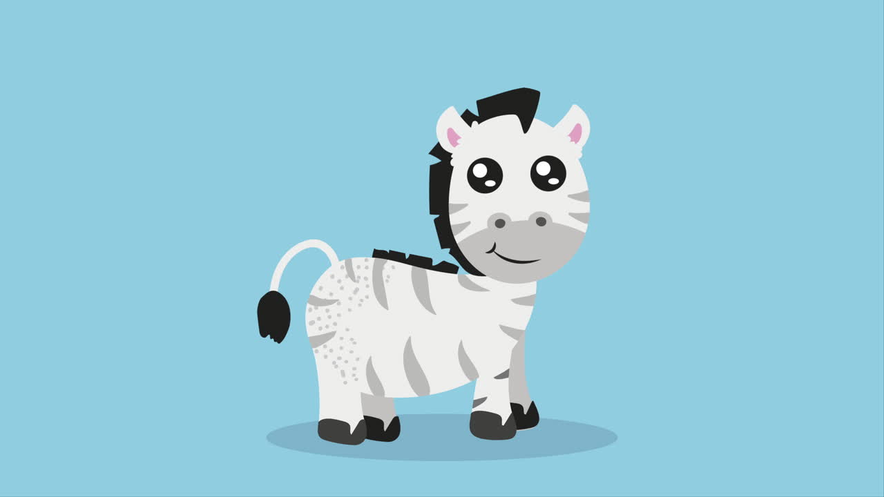 cute zebra animal character animation