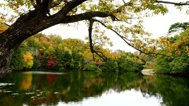 Autumn lake in Japan