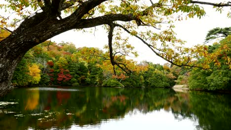 Lago-De-Otoño-En-Japón