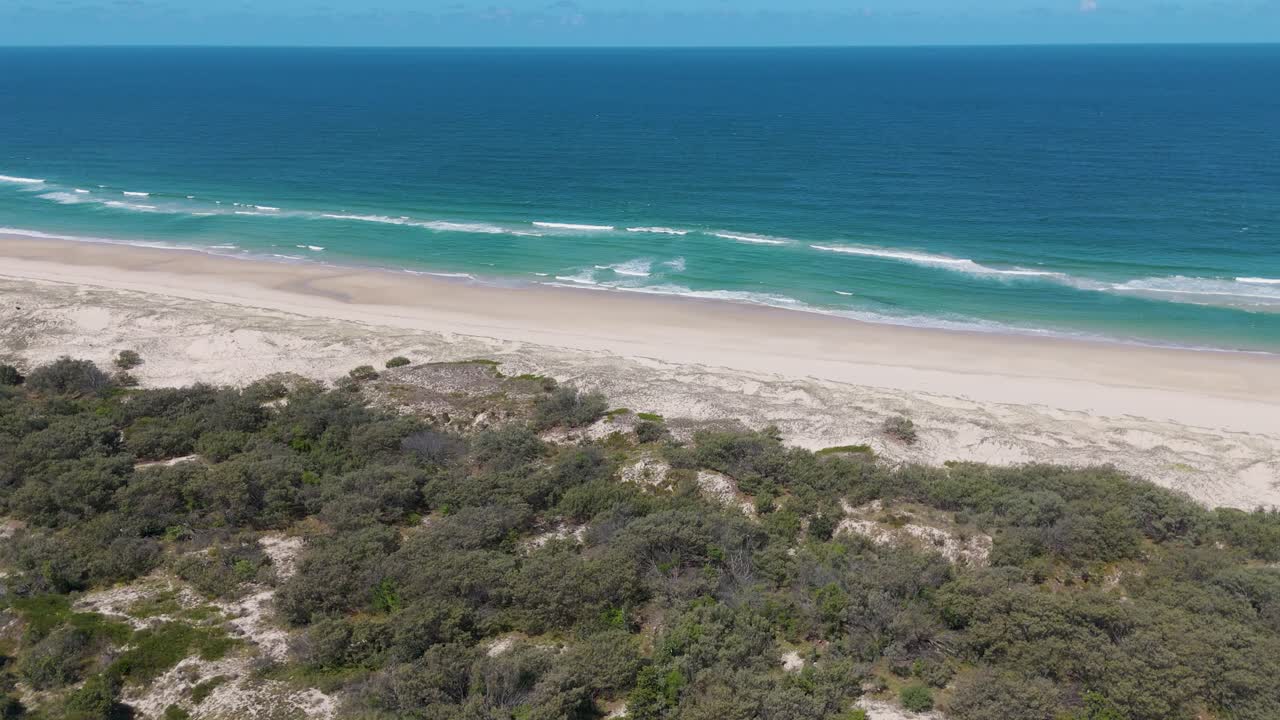 Coastal Forest Aerial View