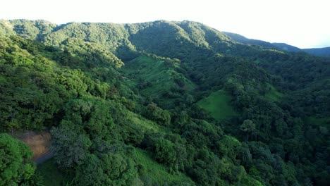 Tropical-forest-in-mountainous-landscape-of-Guadeloupe-Caribbean-island