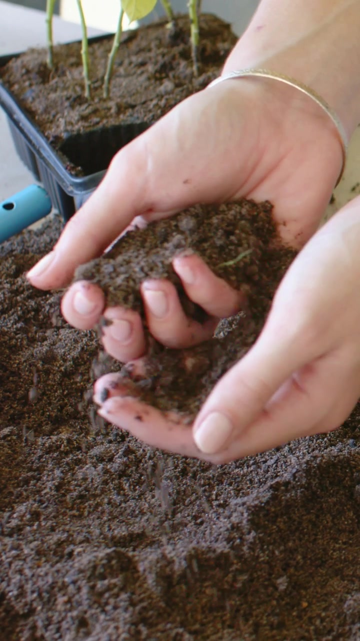 Video verticale: Mani in denim che si protendono per raccogliere terra al tavolo, preparando vasi di terracotta per la semina.