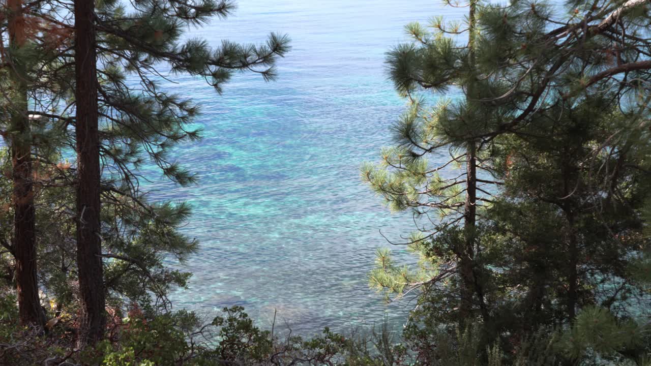 Ruhige Alpenseeszene mit leuchtend blauem Wasser und umgebendem Kiefernwald