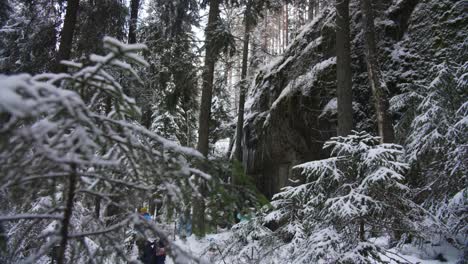 Montaña-Forestal-Llena-De-Nieve-Con-Pinos-Y-Carámbano