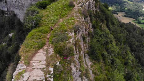 aerial: zenital shot of a man with a suitcase walking on a clif