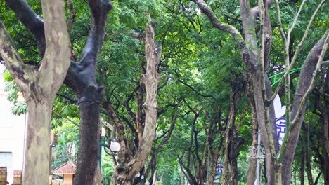 people strolling under lush green trees