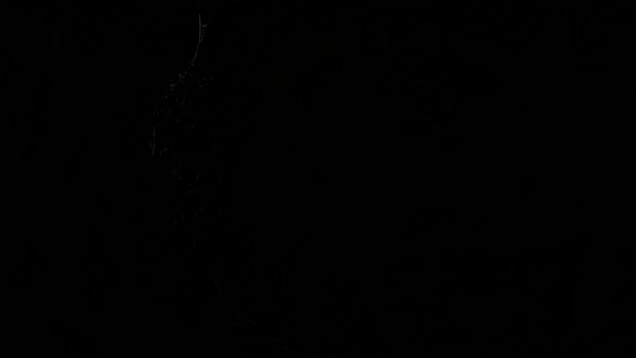 Ornate Jewelled Heart