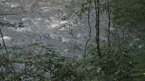 Overhead-shot-of-the-Wissahickon-Creek,-Philadelphia