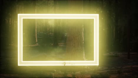 neon glowing rectangle frame in the night forest