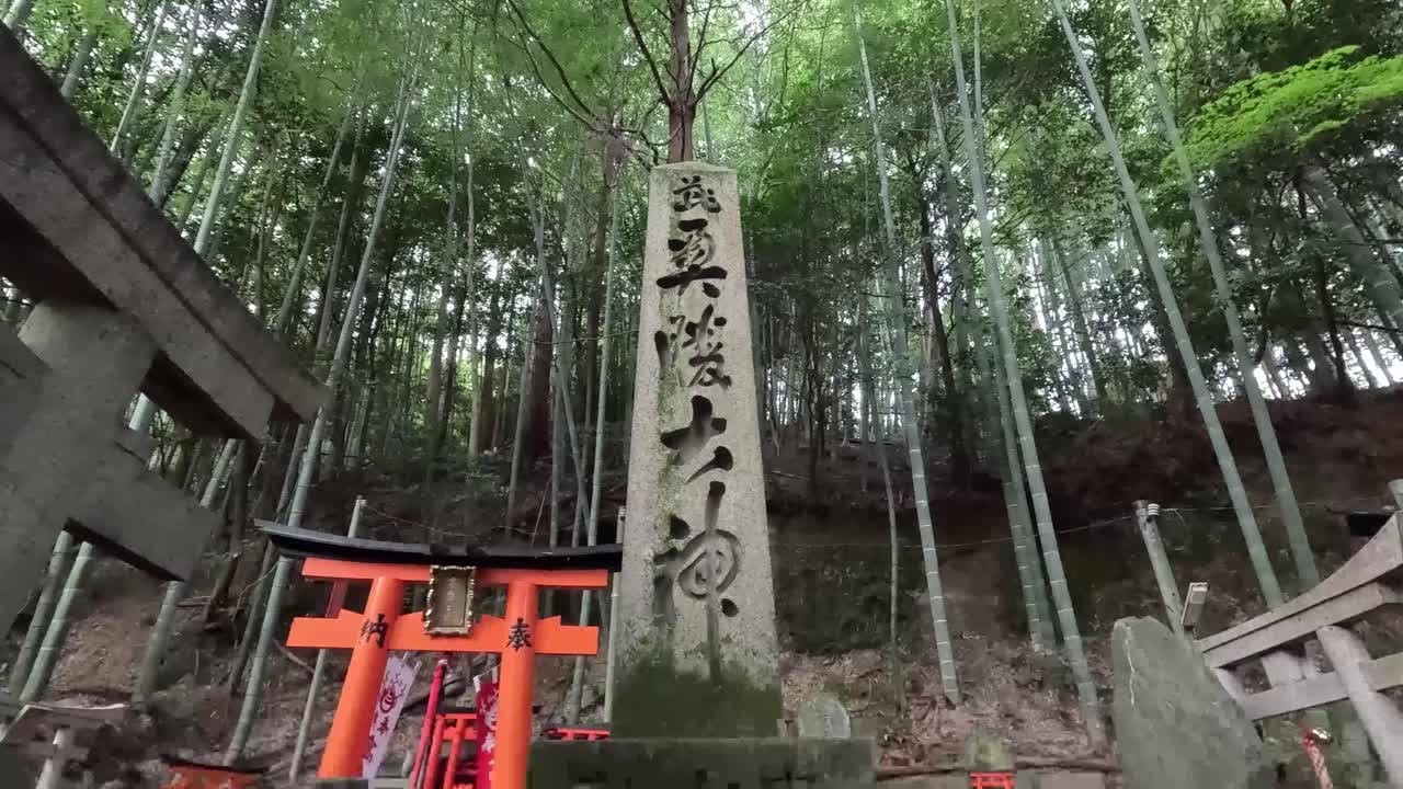 inscripciones de piedra en el santuario fushimi inari-taisha en kyoto, japón - toma de bajo ángulo