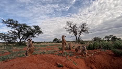 4k time-lapse footage captured with a gopro