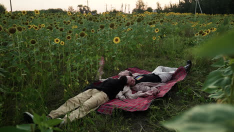 coppia che fa un picnic in un campo di girasoli