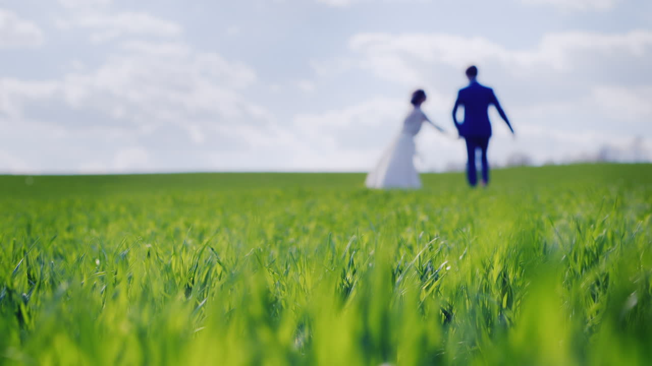 신부와 신랑의 흐릿한 실루엣이 푸른 들판에서 멀리 걸어간다