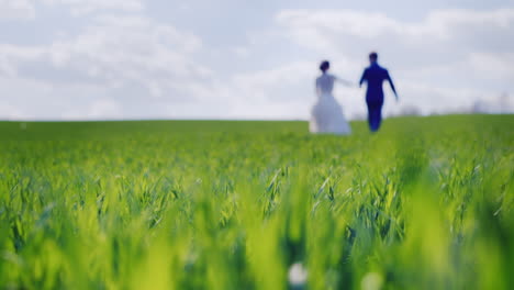 Blurred-silhouettes-of-the-bride-and-groom-walk-into-the-distance-in-a-green-field