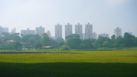 Silueta-De-Un-Joven-Corriendo-Al-Aire-Libre-Con-Una-Hermosa-Vista