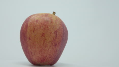 gala apple. one apple that’s  rotations