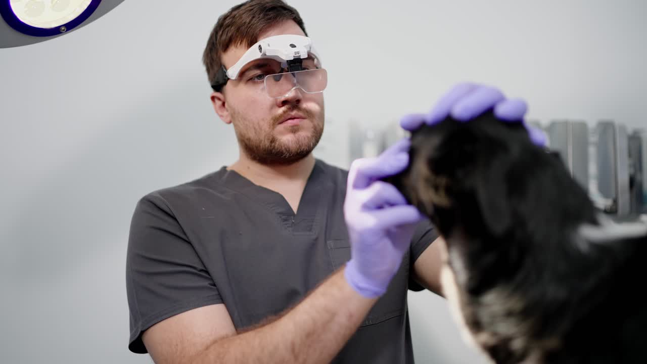 un veterinario hombre confiado con gafas especiales examina los ojos de un perro negro en una clínica veterinaria durante un examen